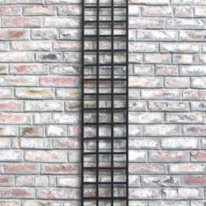 Schmales Wandspalier
