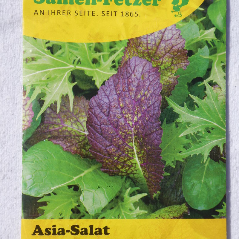 Asia Salate