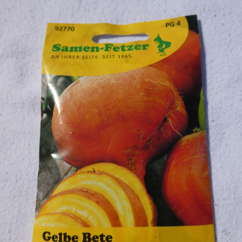 Gelbe Bete 'Burpee´s Golden'